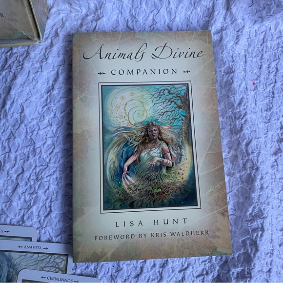 Animals Divine by Lisa Hunt Tarot card box set First Printing / First Edition - Picture 2 of 16